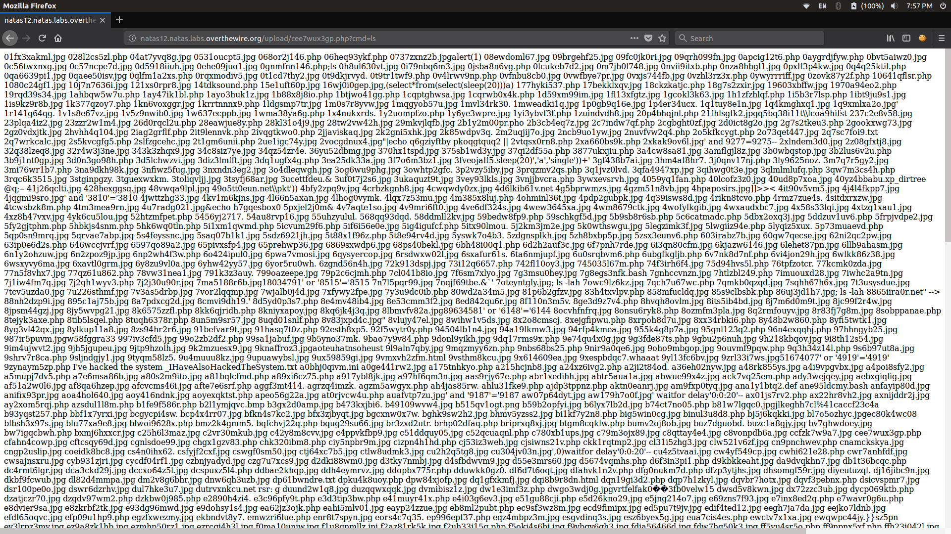 file_upload_intercept_ls.png